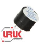 Buzzer Module